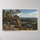 Search for timberline posters Collection