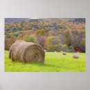 Search for bale posters Landscape