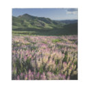 Search for field notepads Plant
