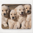 Search for sweet dog mouse mats Puppies