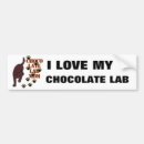 Search for lab bumper stickers Retriever