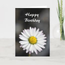Search for yellow daisy birthday cards Flower