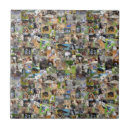 Search for dog breeds tiles Dogs