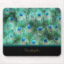 Search for peacock feather electronics Watercolor