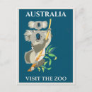 Search for koala postcards Vintage