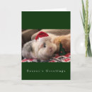 Search for piggy christmas cards Guinea