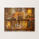 Search for bookshelf puzzles Cat