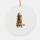 Search for golden retriever christmas tree decorations Funny