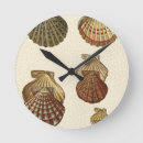 Search for shell clocks Sea life