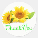 Search for yellow flowers stickers Thank you
