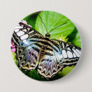 Search for butterfly pictures badges Butterflies