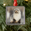 Search for baby seal christmas tree decorations Wild animals