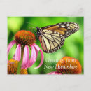 Search for nhs postcards Nature