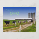 Search for farm with cows postcards Rural