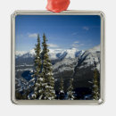 Search for banff christmas tree decorations Forest