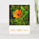 Search for orange daisy cards Photography