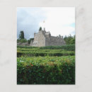 Search for labyrinth postcards Plants