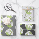 Search for monstera wrapping paper Plant