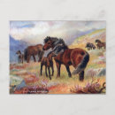 Search for shetland ponies postcards Horse