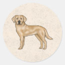 Search for yellow labrador stickers Illustration