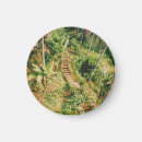 Search for bali magnets Asia