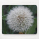 Search for weeding mouse mats Seeds
