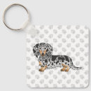Search for long haired key rings Doxie