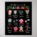 Search for 12 days of christmas posters Humour