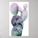 Search for cactus posters Plants
