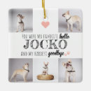 Search for hello pet supplies Photo collage