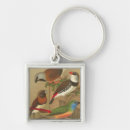 Search for five key rings Nature