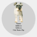 Search for mini schnauzer stickers Puppy
