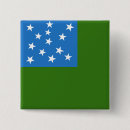 Search for revolutionary war badges Thirteen colonies
