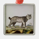 Search for wildcat christmas tree decorations Feline