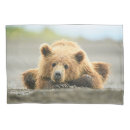 Search for brown bear pillowcases Alaska