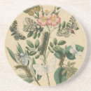 Search for caterpillar coasters Insects