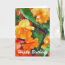 Search for begonias cards Flowers