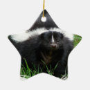 Search for skunk christmas tree decorations Wildlife