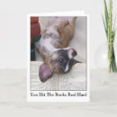 Search for funny dog graduation cards Diploma