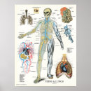 Search for heart chart posters Medical