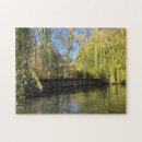 Search for willow tree Leaves