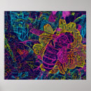 Search for bee image posters Flowers
