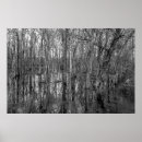 Search for black and white forest posters Dark