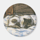 Search for black felines magnets Black and white cat