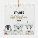 Search for holiday polar bear christmas tree decorations Winter wonderland