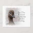 Search for reason postcards Smile