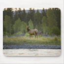 Search for camera mouse mats Focus