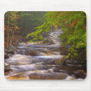 Search for flows electronics Foliage