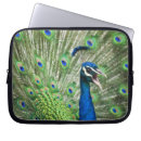 Search for peafowl feather electronics Animal