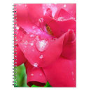 Search for droplet Beautiful